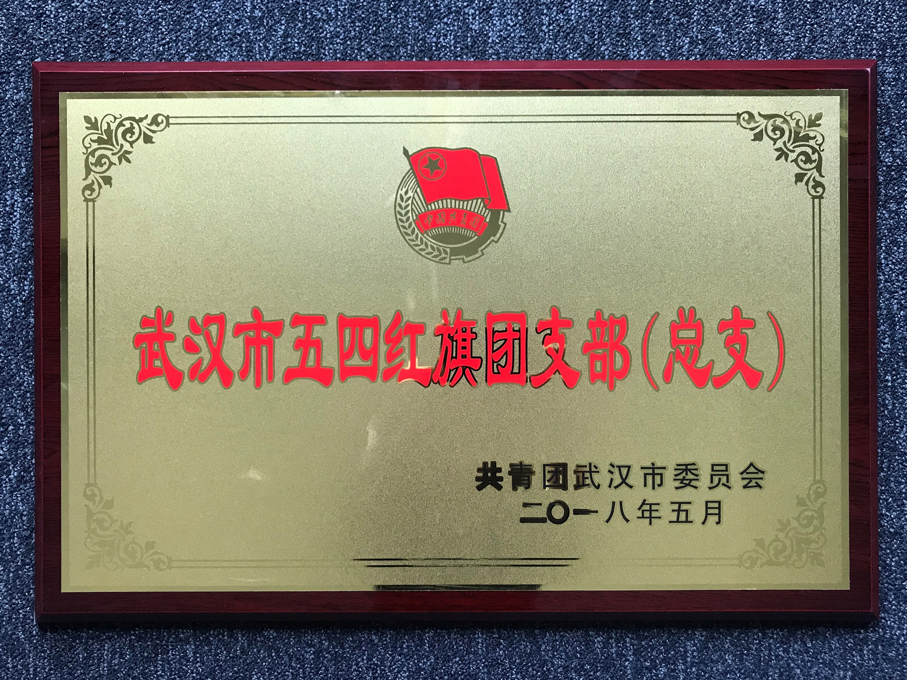 不忘初心跟黨走 青春建功新時代——中城團總支榮獲“武漢市五四紅旗團支部(總支)”光榮稱號