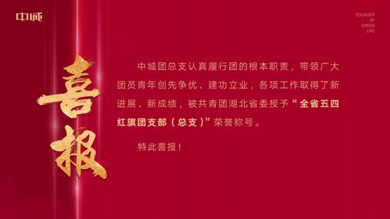 商務區集團所屬中城團總支榮獲 “全省五四紅旗團支部(總支)”榮譽稱號